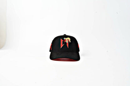 Ct suede hat