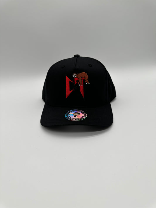 CT black snapback